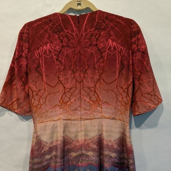 𝅺MATTHEW Williamson silk dress size 6 (10 UK) EUC - Picture 5 of 6